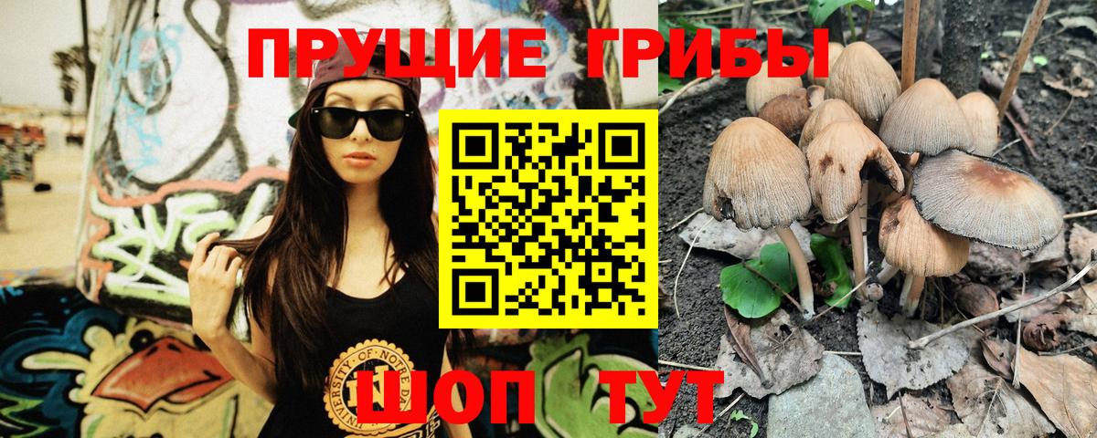 Псилоцибиновые грибы ЛСД Алатырь