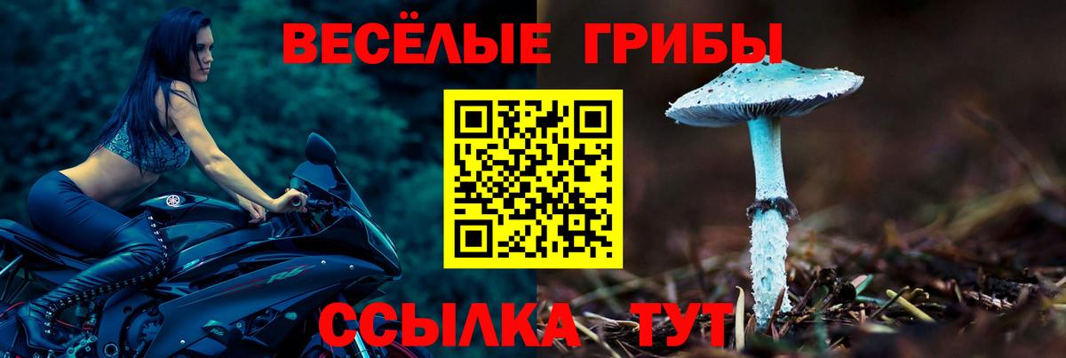 купить   Галлюциногенные грибы Psilocybe  Псилоцибиновые грибы GOLDEN TEACHER  Вход с VPN  Алатырь 